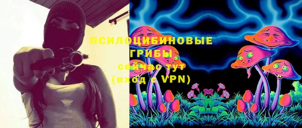 герыч Гусь-Хрустальный