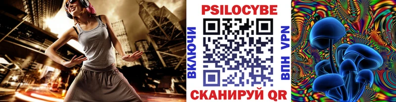 Псилоцибиновые грибы Psilocybine cubensis Барнаул