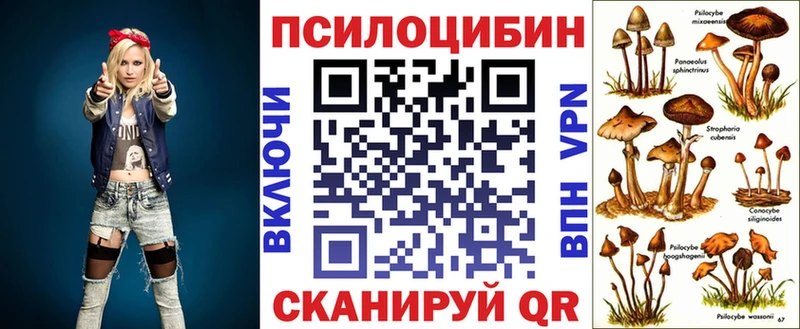 Галлюциногенные грибы MAGIC MUSHROOMS  Купить где  Барнаул 